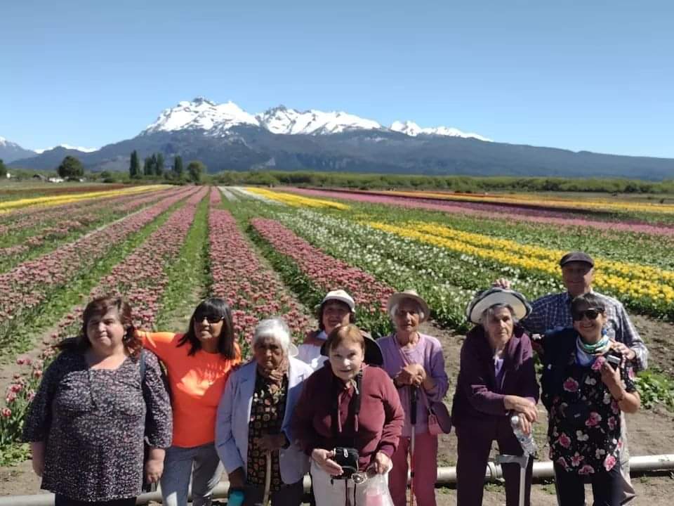 Taller de personas mayores visitaron el campo de tulipanes
