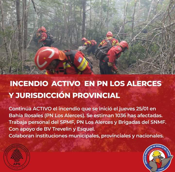 🔥 INCENDIO ACTIVO EN PN LOS ALERCES Y JURISDICCIÓN PROVINCIA DE CHUBUT 