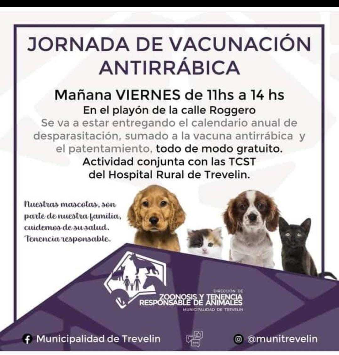 Jornada de vacunación antirrábica
