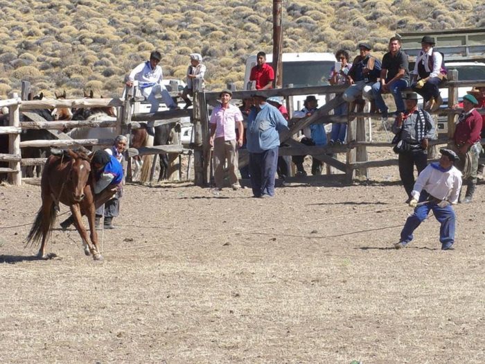SE VIENE LA XIII FIESTA REGIONAL DE LA MARCACION EN ALDEA EPULEF