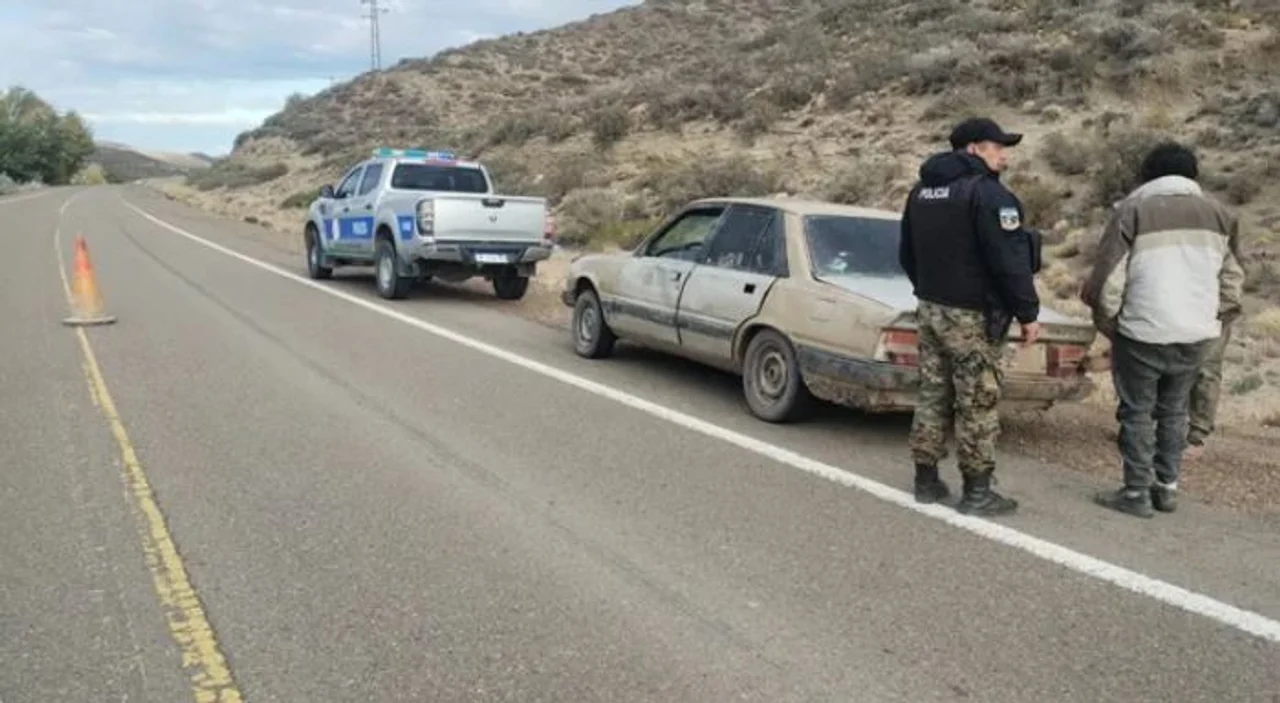 Sorprendieron a dos hombres que transportaban 200 kilos de carne de guanaco