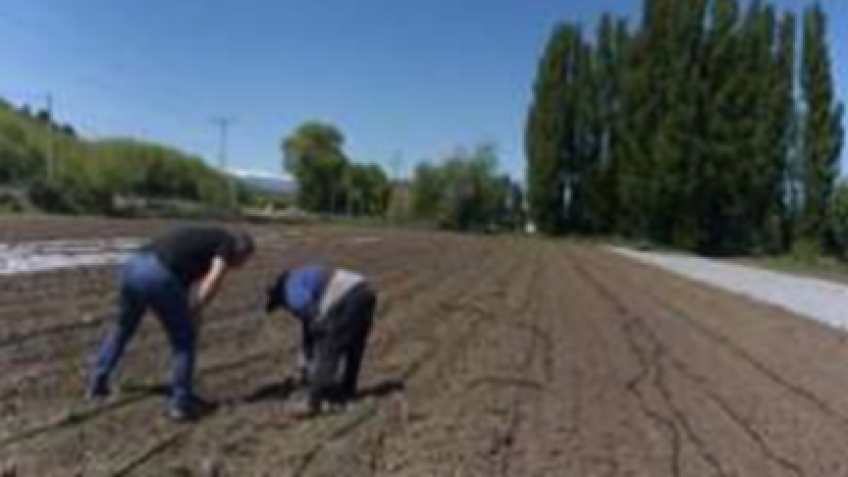 Trevelin refleja los resultados de la agricultura limpia