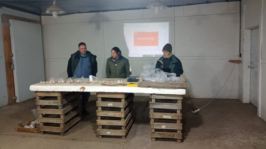 Se realizó en Trevelin un taller de cultivo de ajo
