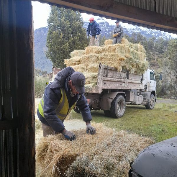 La municipalidad de Trevelin asiste a productores de los parajes