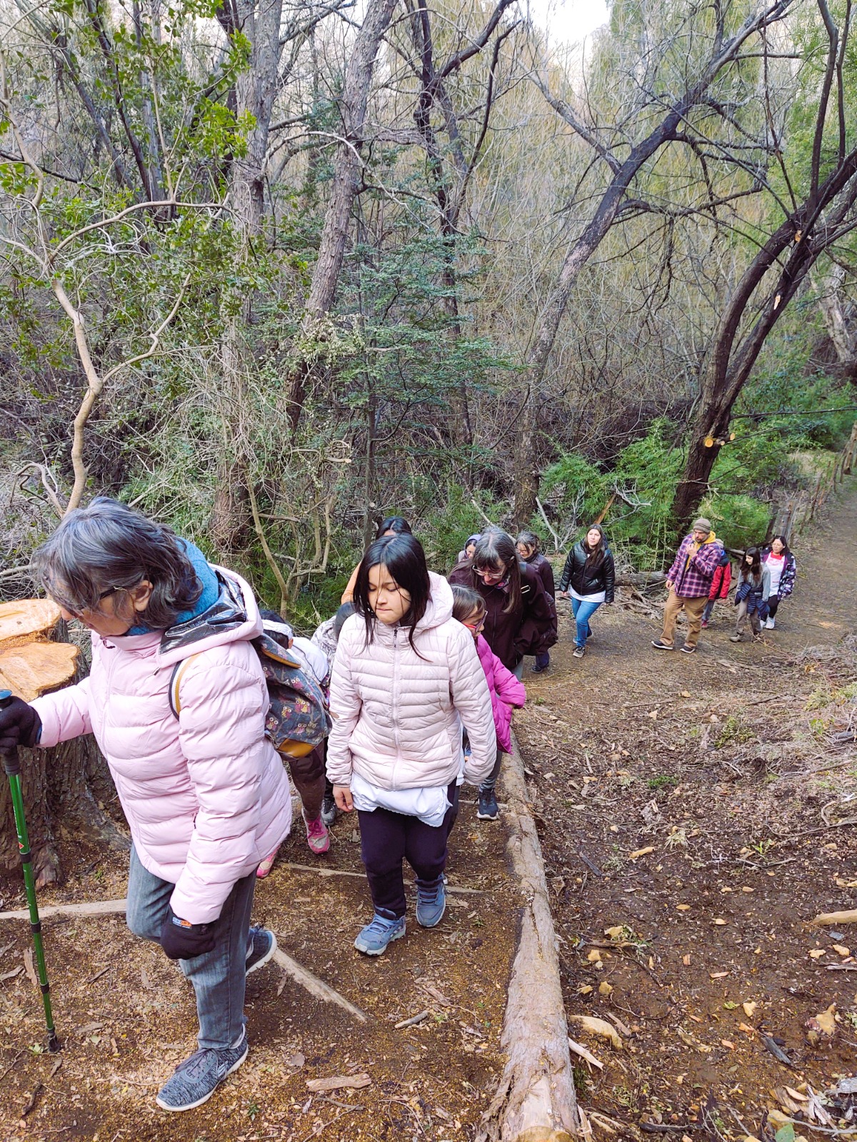 Programa de senderismo para trasplantados en Parque Nacional Los Alerces