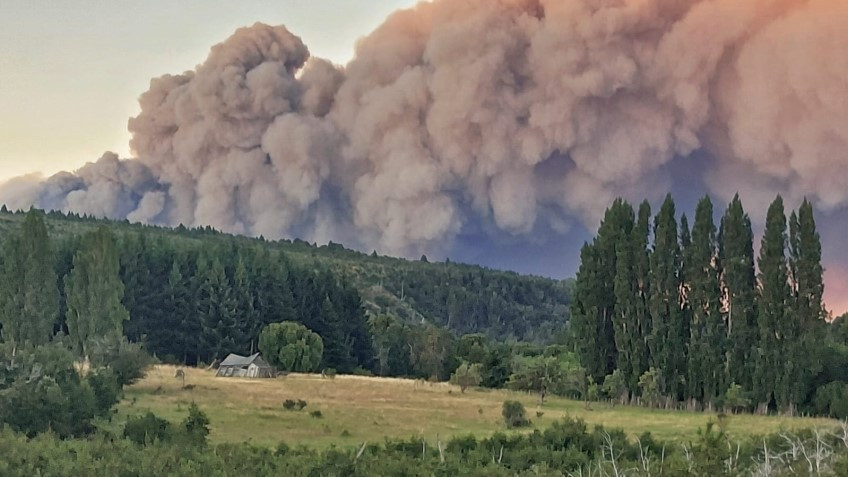 TREVELIN ACTUALIZA SU PLAN DE PREVENCIÓN DE INCENDIOS FORESTALES