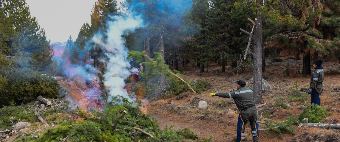 Prevención de incendios: continúan los trabajos de poda y raleo en sectores clave de Esquel